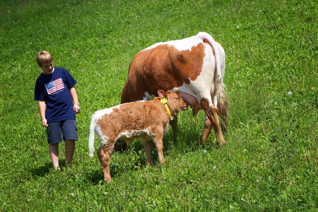 Farm Stay Pirc ラーシュコ エクステリア 写真