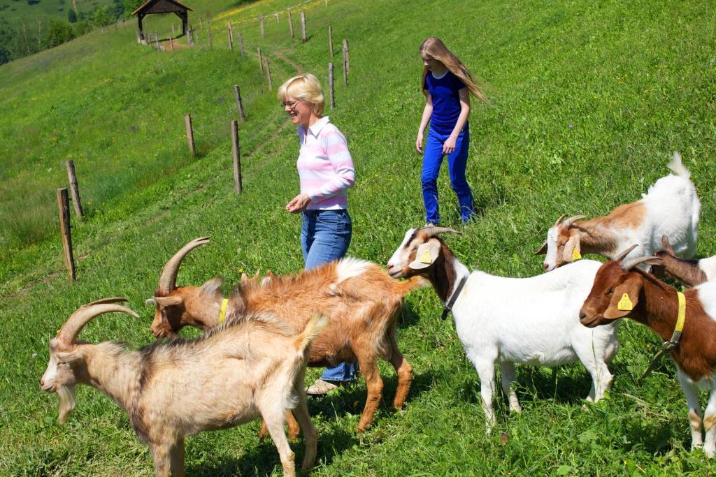 Farm Stay Pirc ラーシュコ エクステリア 写真